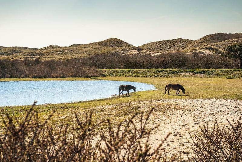 Het Hoekhuisje Egmond aan Zee Bagian luar foto